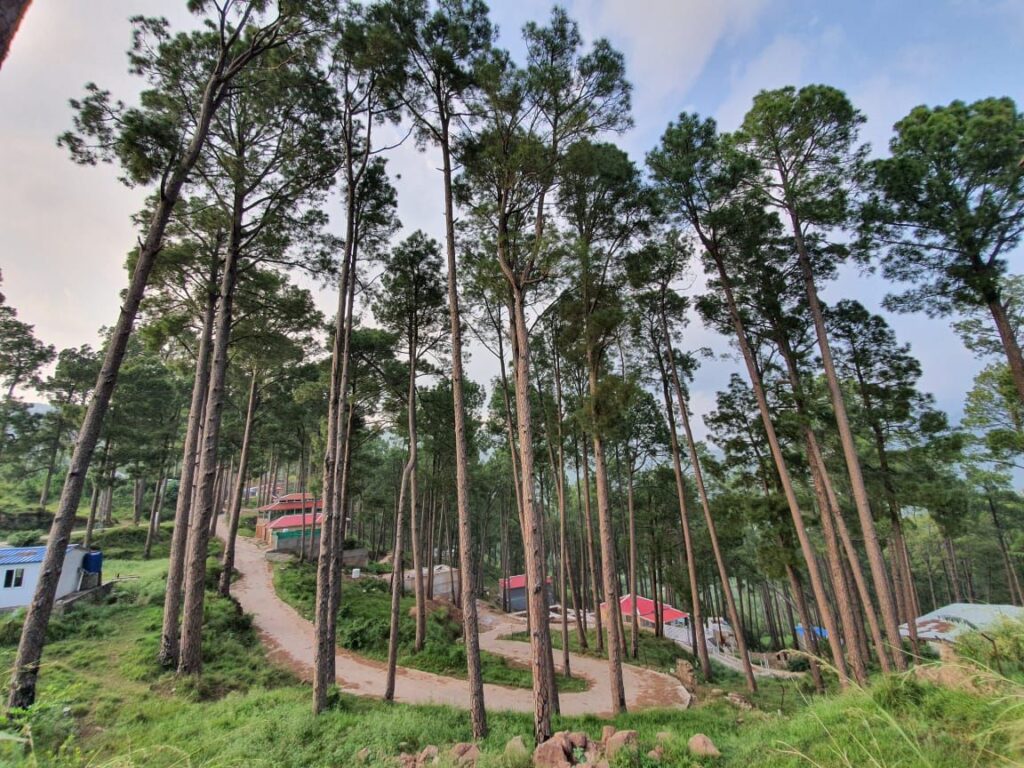 new murree resort photo (1)